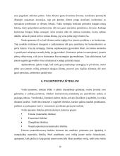 UAB „Sėdimaišas“ verslo planas 16 puslapis