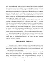 UAB „Sėdimaišas“ verslo planas 18 puslapis