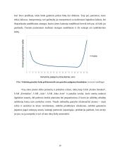 UAB „Sėdimaišas“ verslo planas 19 puslapis