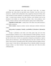 UAB „Sėdimaišas“ verslo planas 3 puslapis