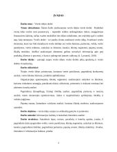 UAB „Sėdimaišas“ verslo planas 4 puslapis