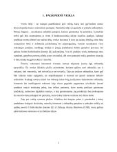 UAB „Sėdimaišas“ verslo planas 5 puslapis