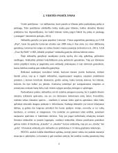 UAB „Sėdimaišas“ verslo planas 6 puslapis