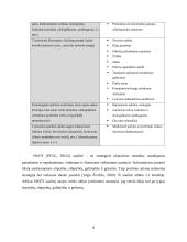 UAB „Sėdimaišas“ verslo planas 8 puslapis