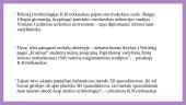 Inovatyvi organizacija 11 puslapis