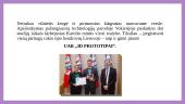 Inovatyvi organizacija 12 puslapis