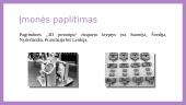 Inovatyvi organizacija 8 puslapis