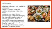 Itališka virtuvė 3 puslapis