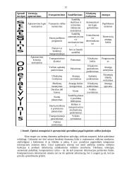 Užsakymų tvarkymas ir informacinis aprūpinimas 12 puslapis