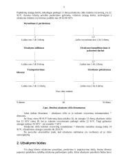 Užsakymų tvarkymas ir informacinis aprūpinimas 5 puslapis