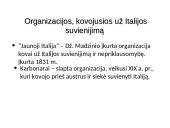 Italijos ir Vokietijos suvienijimai 7 puslapis