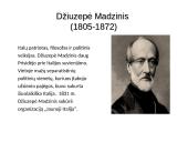 Italijos ir Vokietijos suvienijimai 8 puslapis