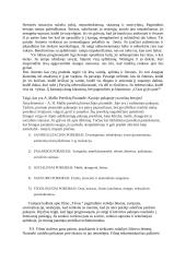 Refleksija filmui The Father” (Tėvas) 3 puslapis