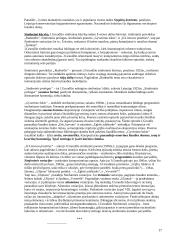 Muzikinis gyvenimas tarpukario Lietuvoje (1918 – 1940) 17 puslapis