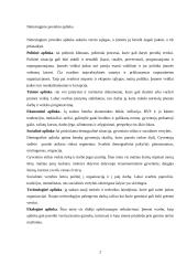 Išsami vadybos teorija 2 puslapis