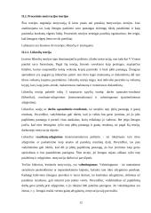 Išsami vadybos teorija 12 puslapis