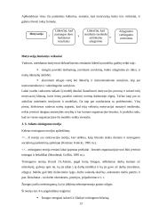 Išsami vadybos teorija 13 puslapis