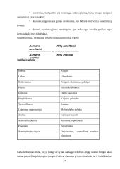 Išsami vadybos teorija 14 puslapis