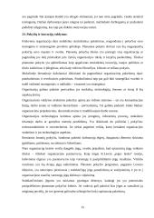 Išsami vadybos teorija 15 puslapis