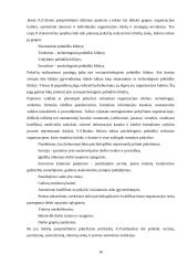 Išsami vadybos teorija 16 puslapis