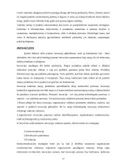 Išsami vadybos teorija 17 puslapis