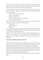 Išsami vadybos teorija 18 puslapis