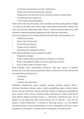 Išsami vadybos teorija 19 puslapis