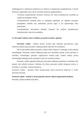 Išsami vadybos teorija 20 puslapis