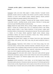 Išsami vadybos teorija 3 puslapis