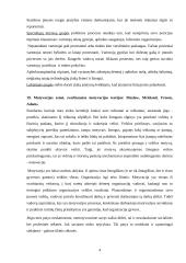 Išsami vadybos teorija 4 puslapis