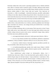 Išsami vadybos teorija 5 puslapis