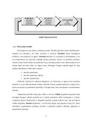 Išsami vadybos teorija 6 puslapis