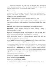 Išsami vadybos teorija 7 puslapis