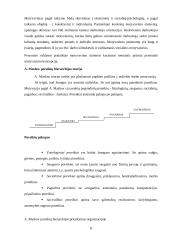 Išsami vadybos teorija 8 puslapis