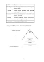 Išsami vadybos teorija 9 puslapis