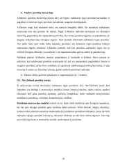 Išsami vadybos teorija 10 puslapis