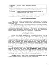 Vadybiniai sprendimai AB "Ekranas" 8 puslapis