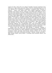 Kaip autoriaus biografijos faktai atsispindi XX amžiaus lietuvių literatūroje? (Sruoga, Nėris) 2 puslapis