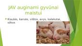 JAV geografija ir fauna/flora 5 puslapis