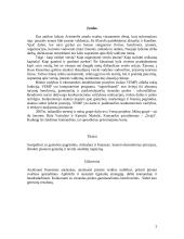 Vadybos ir ekonomikos modeliavimo pratybos. VEMP vadovas 2 puslapis