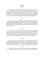 Vadybos ir ekonomikos modeliavimo pratybos. VEMP vadovas 3 puslapis