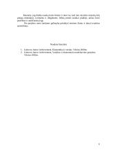 Vadybos ir ekonomikos modeliavimo pratybos. VEMP vadovas 5 puslapis