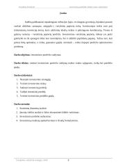 Investicinio portfelio valdymas 2 puslapis