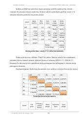 Investicinio portfelio valdymas 11 puslapis
