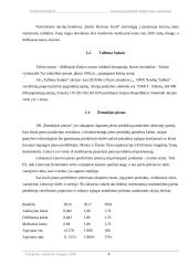 Investicinio portfelio valdymas 4 puslapis