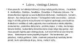 Laisva, vieninga Lietuva  2 puslapis