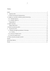 Karkasinio pastato skaičiavimas ir konstravimas 2 puslapis