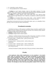 Vadovo darbotvarkės organizavimas 7 puslapis