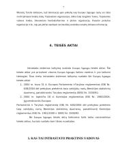 Į LR įvežamų prekių deklaravimas 7 puslapis