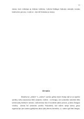 Vadovo ir  lyderio sąvokų determinavimas 11 puslapis